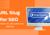 What is URL Slug for SEO? Why Matter for SEO and How to Optimize