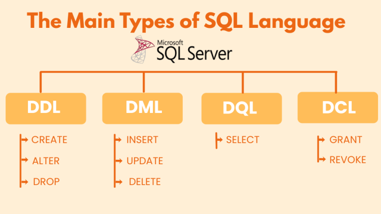 What is Microsoft SQL Server? and the Main Types of SQL Language